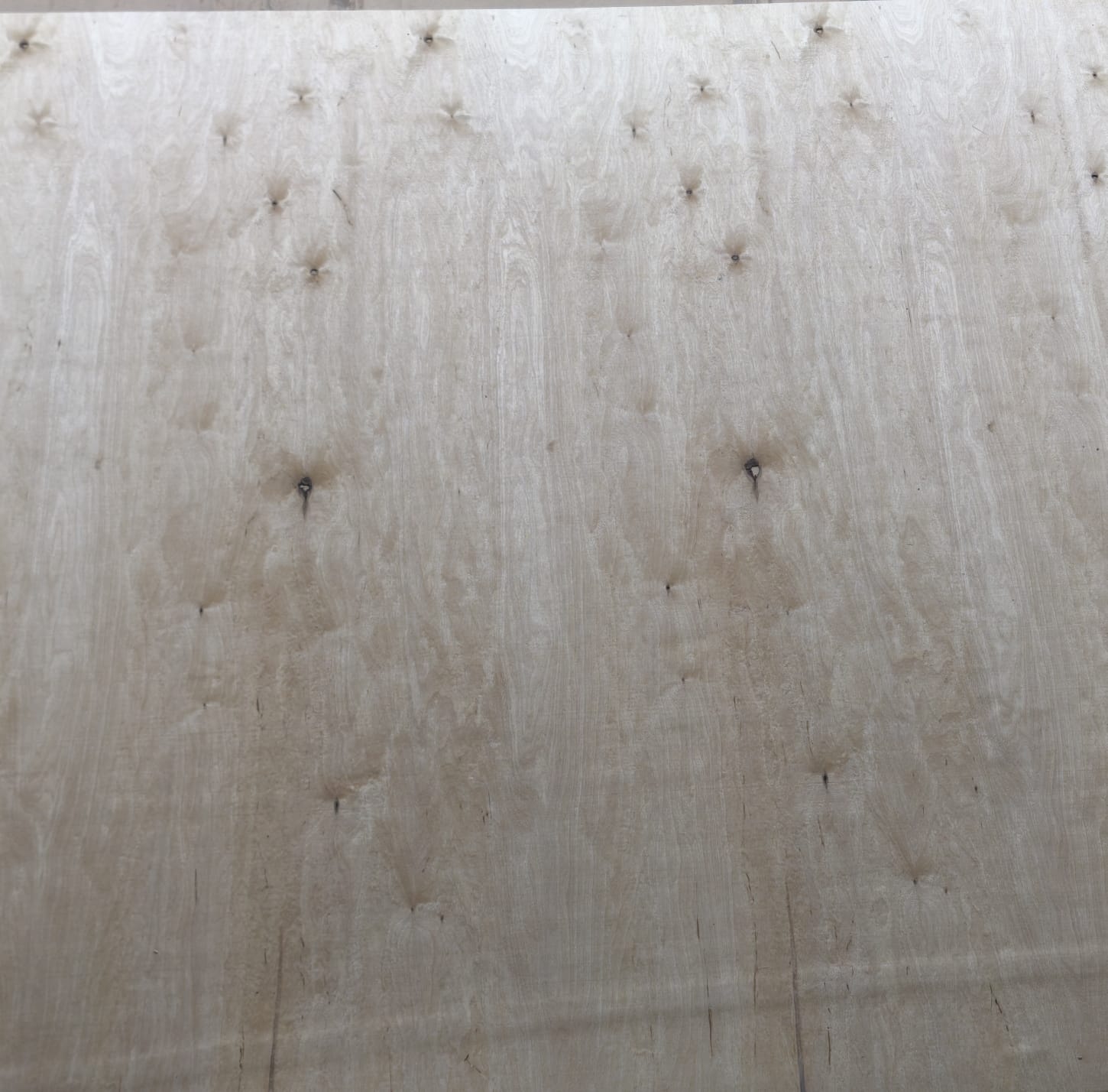 Laubholz-Sperrholz Erle/Birke 1525×1525×4 mm CP/C geschliffen