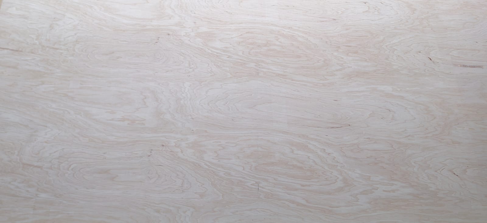 Laubholz-Sperrholz Erle/Birke 1525×1525×4 mm BB/BB geschliffen